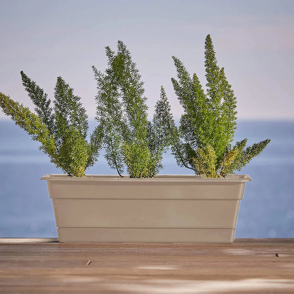 Window Box Planter with Tray 24" R250171