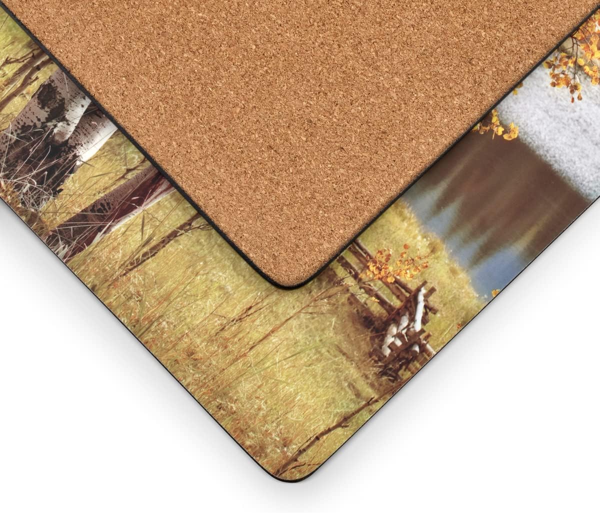 Set of 4 Heat Resistant Cork-Backed Placemats E521