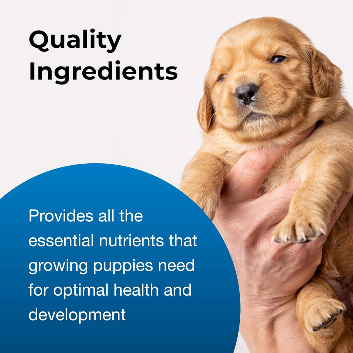 5 lb Powdered Puppy Formula with Prebiotics, Probiotics & Vitamins V357778