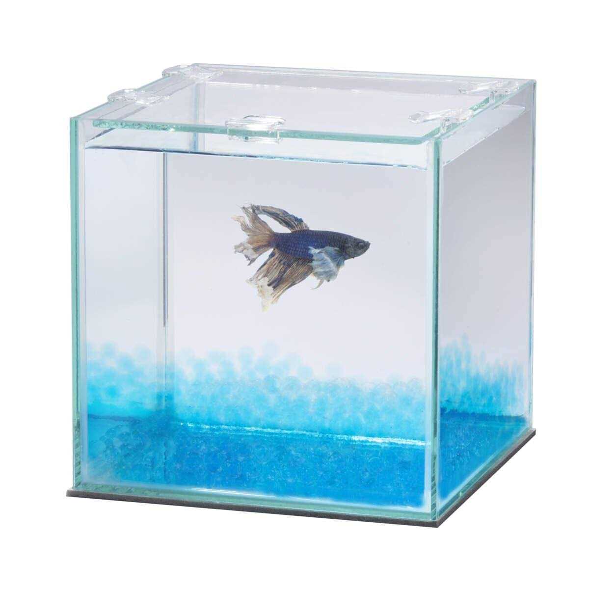 Betta Beads C965