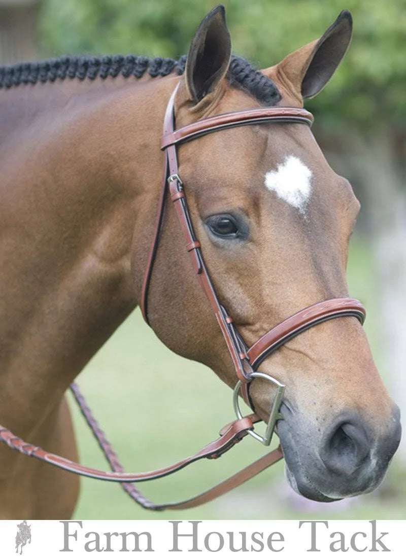 Fancy Wide Show Bridle with Raised Laced Reins T313712