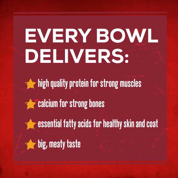 Savory Beef Dry Dog Food E693583