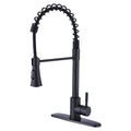 Stainless Steel Pull-Down Kitchen Faucet N66988