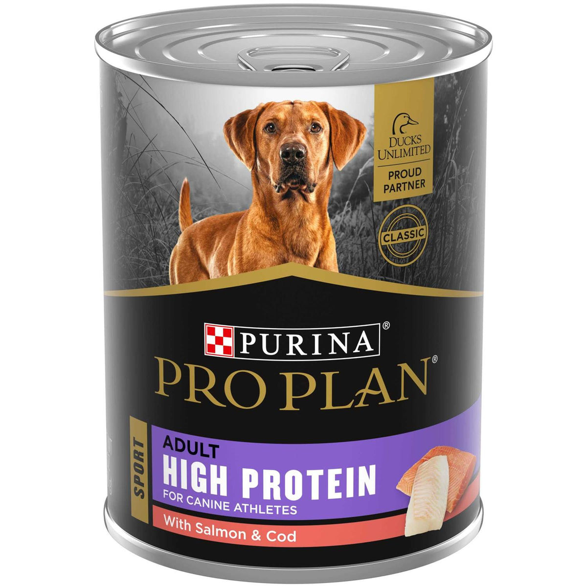 High Protein Wet Dog Food B18049