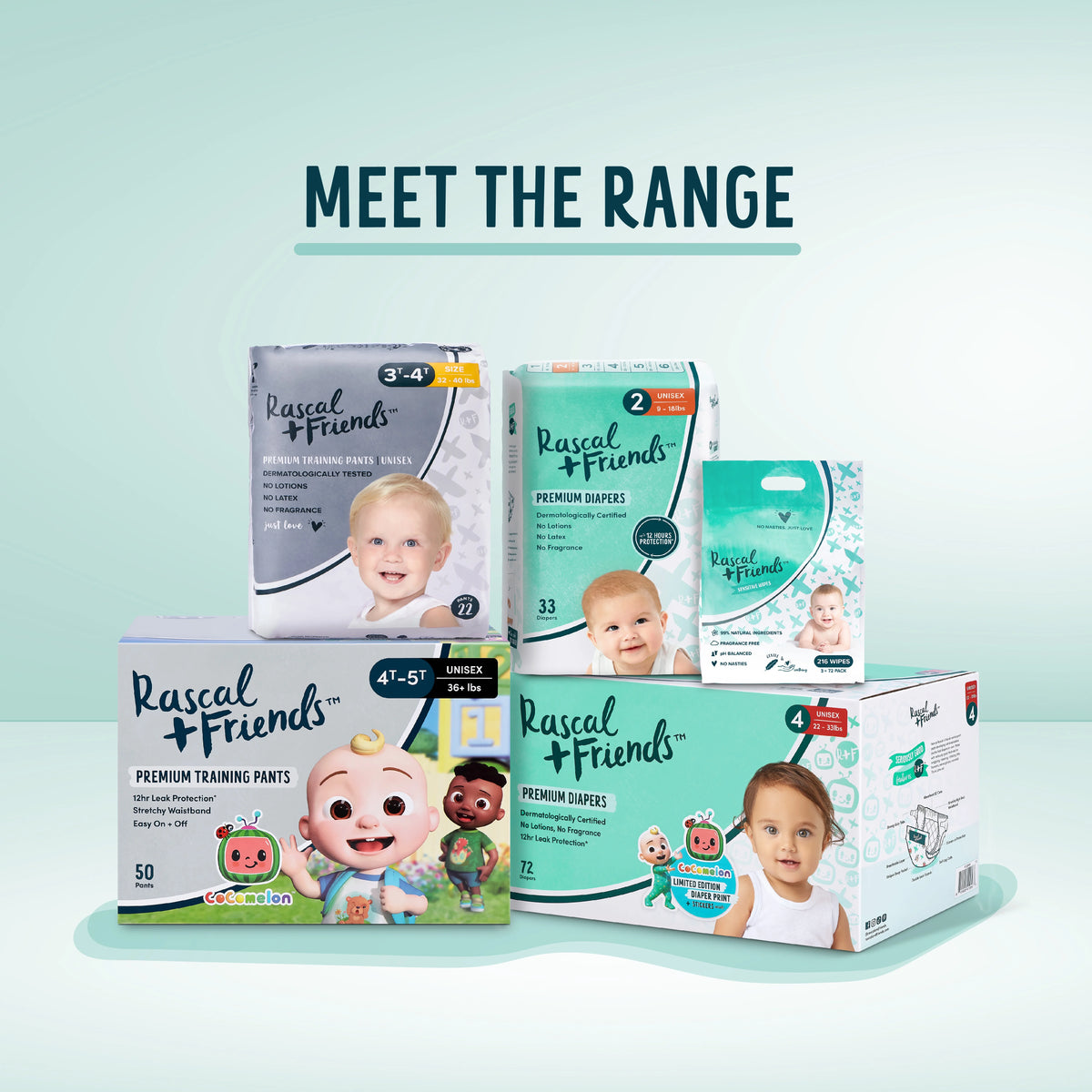 Premium Diapers, Size 1, 38 Count E6046