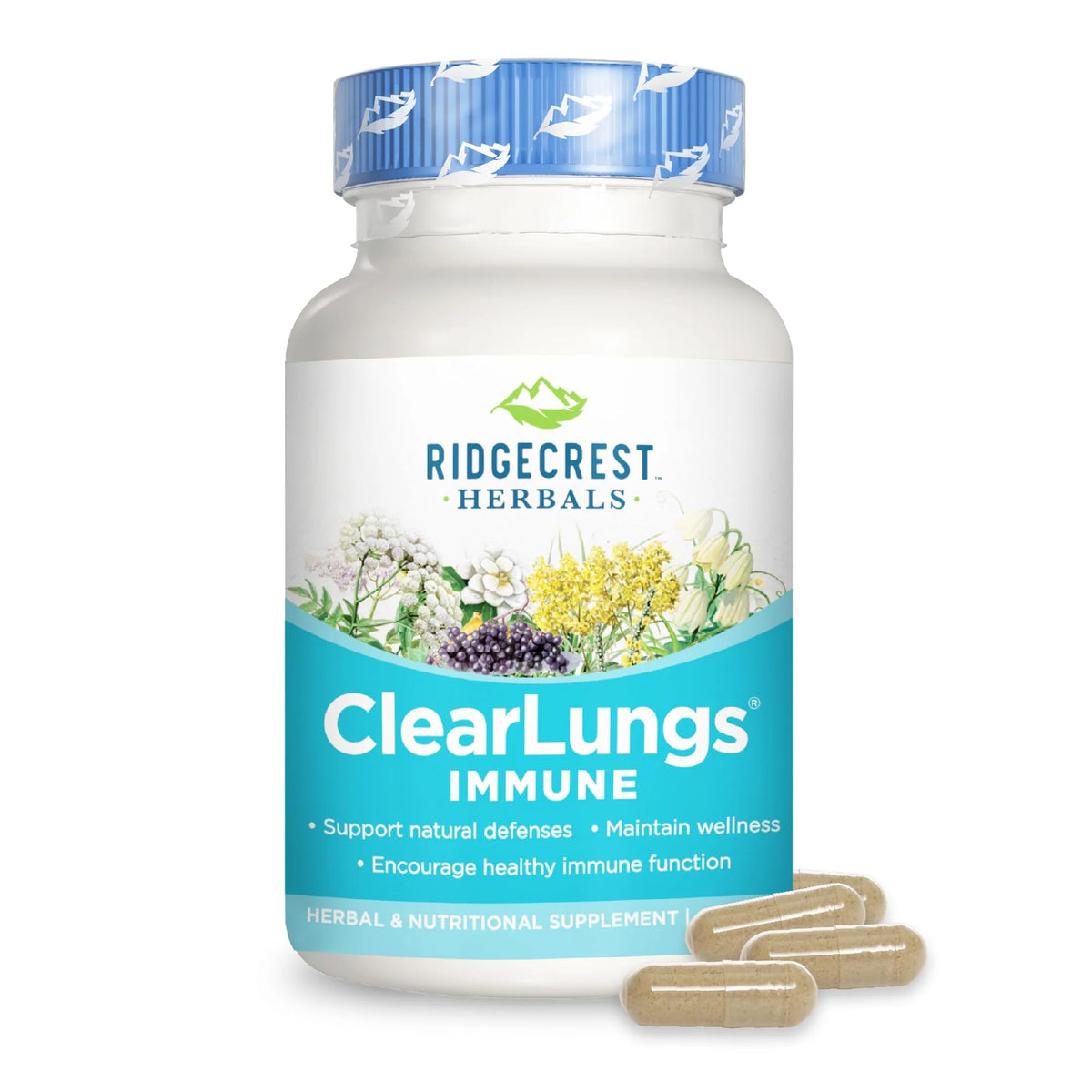 Lung Support Supplement with Elderberry Zinc Vitamin C 60 Vegan Caps D224