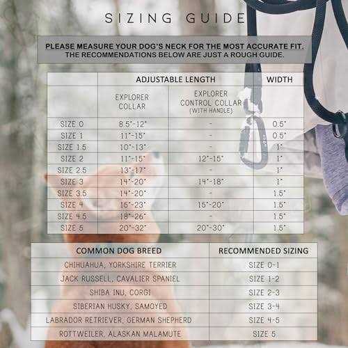 Adjustable Heavy Duty Nylon Dog Collar with Metal Buckle O42479
