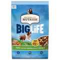 Dry Dog Food T162433