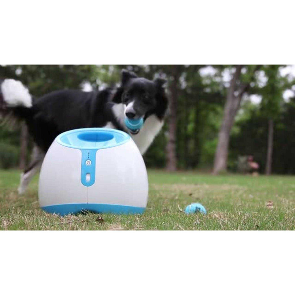Interactive Ball Launcher Dog Toy H833