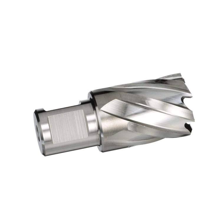 HSS Annular Cutter L71777