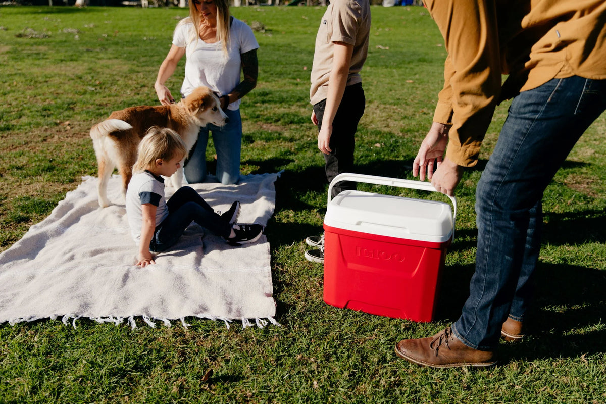 28 QT Red Ice Chest Cooler M326969