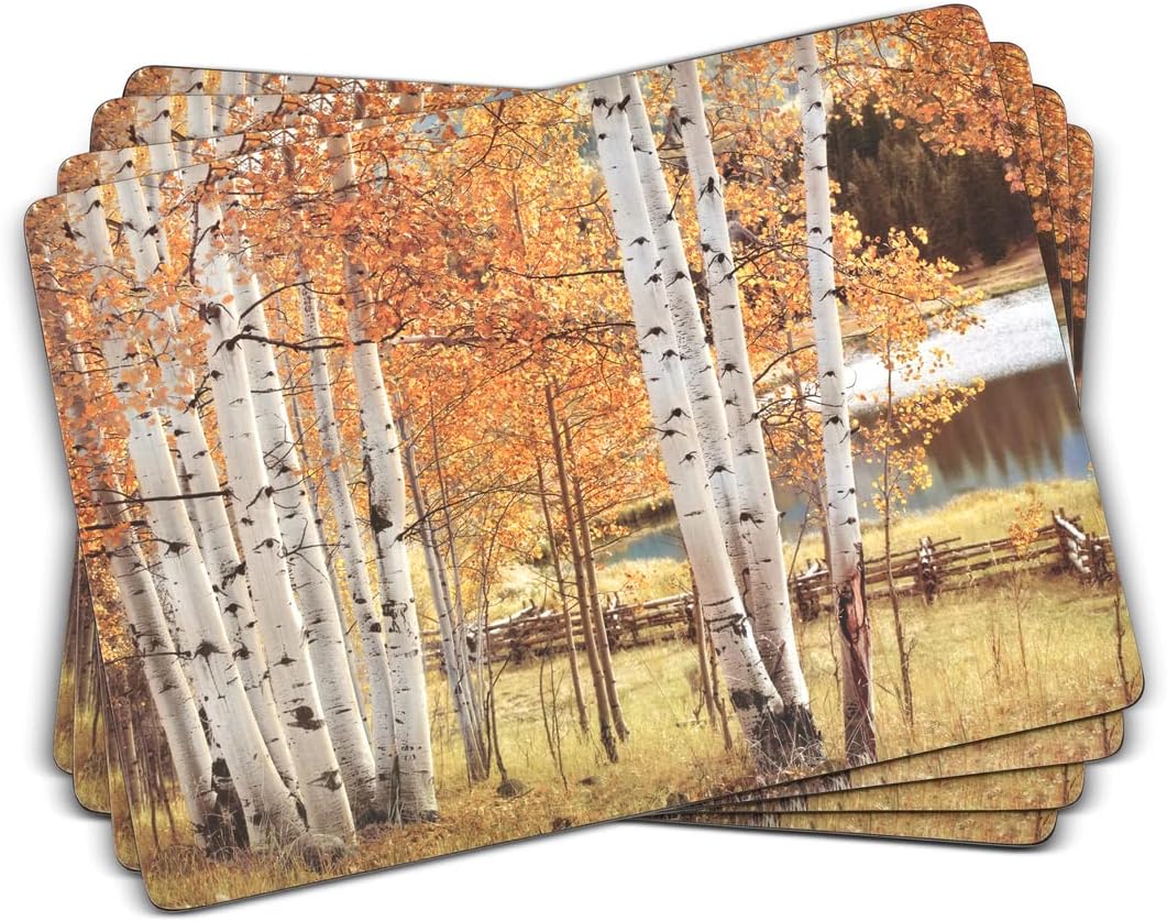 Set of 4 Heat Resistant Cork-Backed Placemats E521