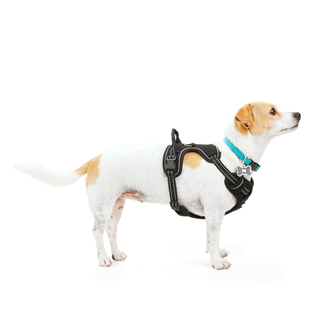 Black Front Walking Dog Harness D3371