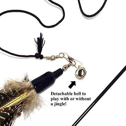 2 Guinea Feather Wand Cat Toy B263