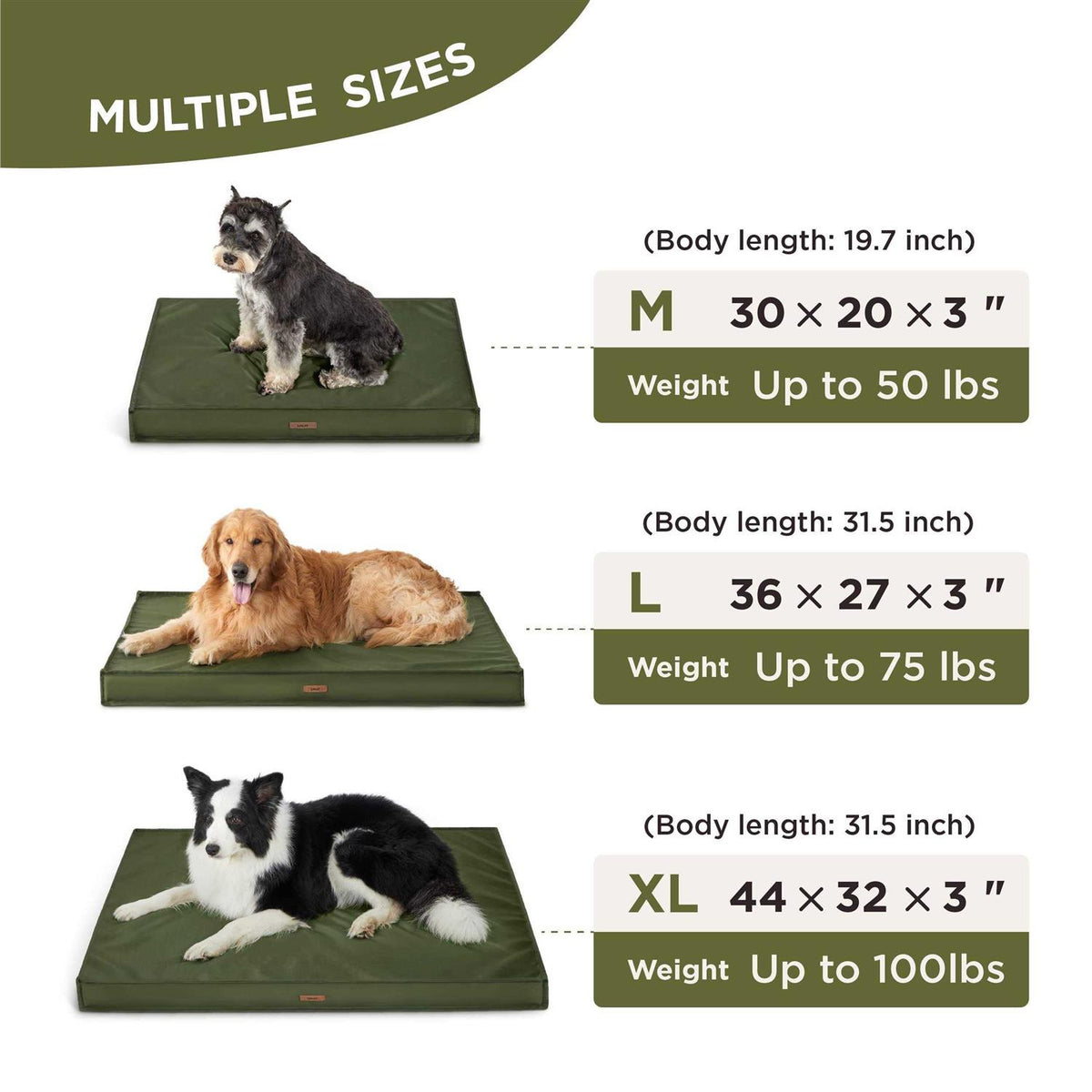 Waterproof Oxford Fabric Dog Bed G550