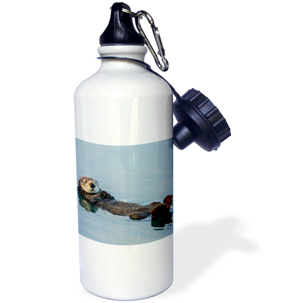 Sea Otter Straw Water Bottle, 21-ounce E42713