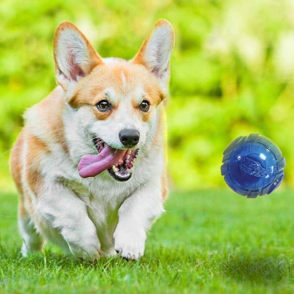 Blue Green LED Ball Dog Toys K82009