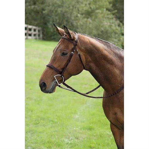 Fancy Wide Show Bridle with Raised Laced Reins T313712