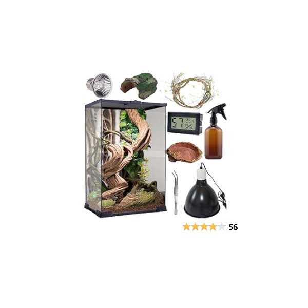 Reptile Terrarium 8 * 8 * 12 Amphibian Vertical Habitat Tank Starter Kit A9177