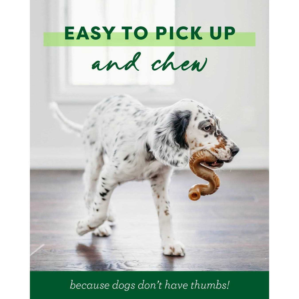 Dog Chew A20262