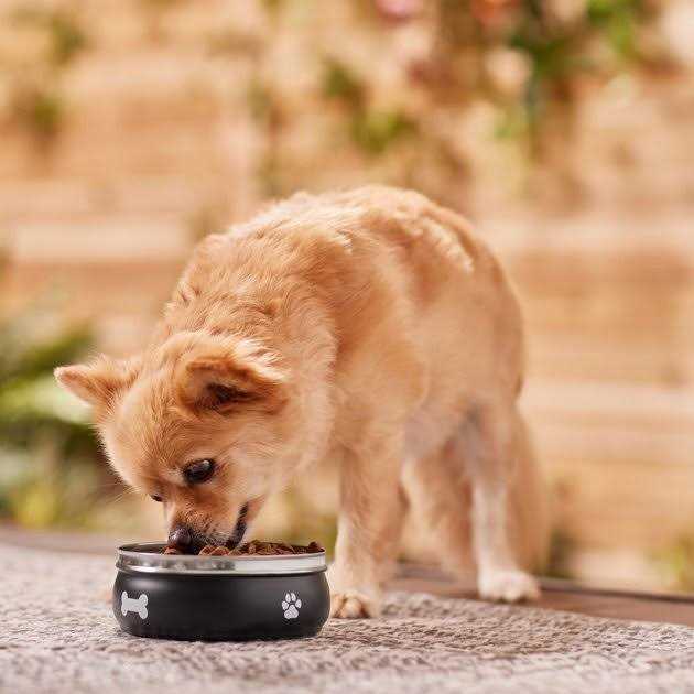 Non-skid Stainless Steel Dog & Cat Bowl I761