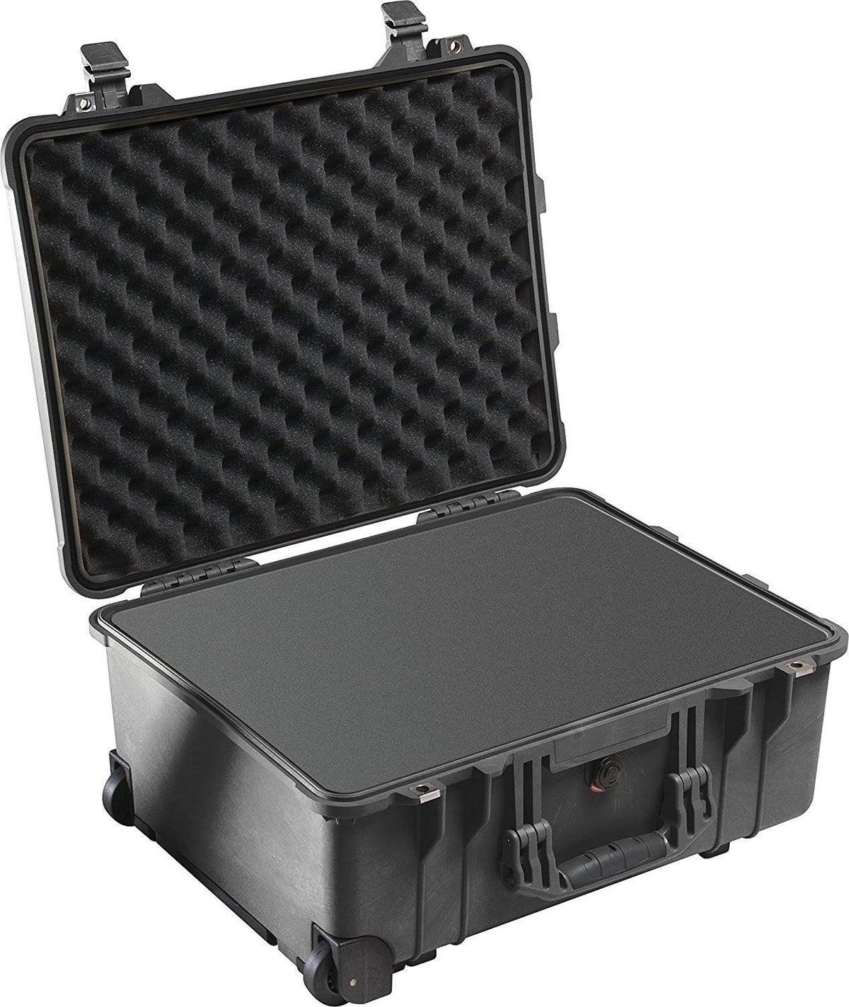 Black Case with Foam F404