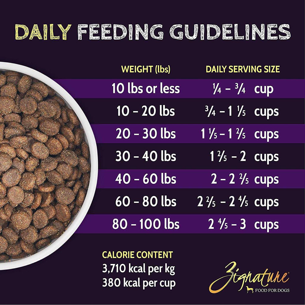 Lamb Formula Dry Dog Food R598216