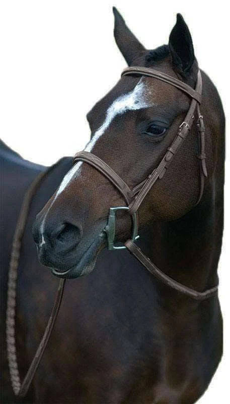 Fancy Wide Show Bridle with Raised Laced Reins T313712