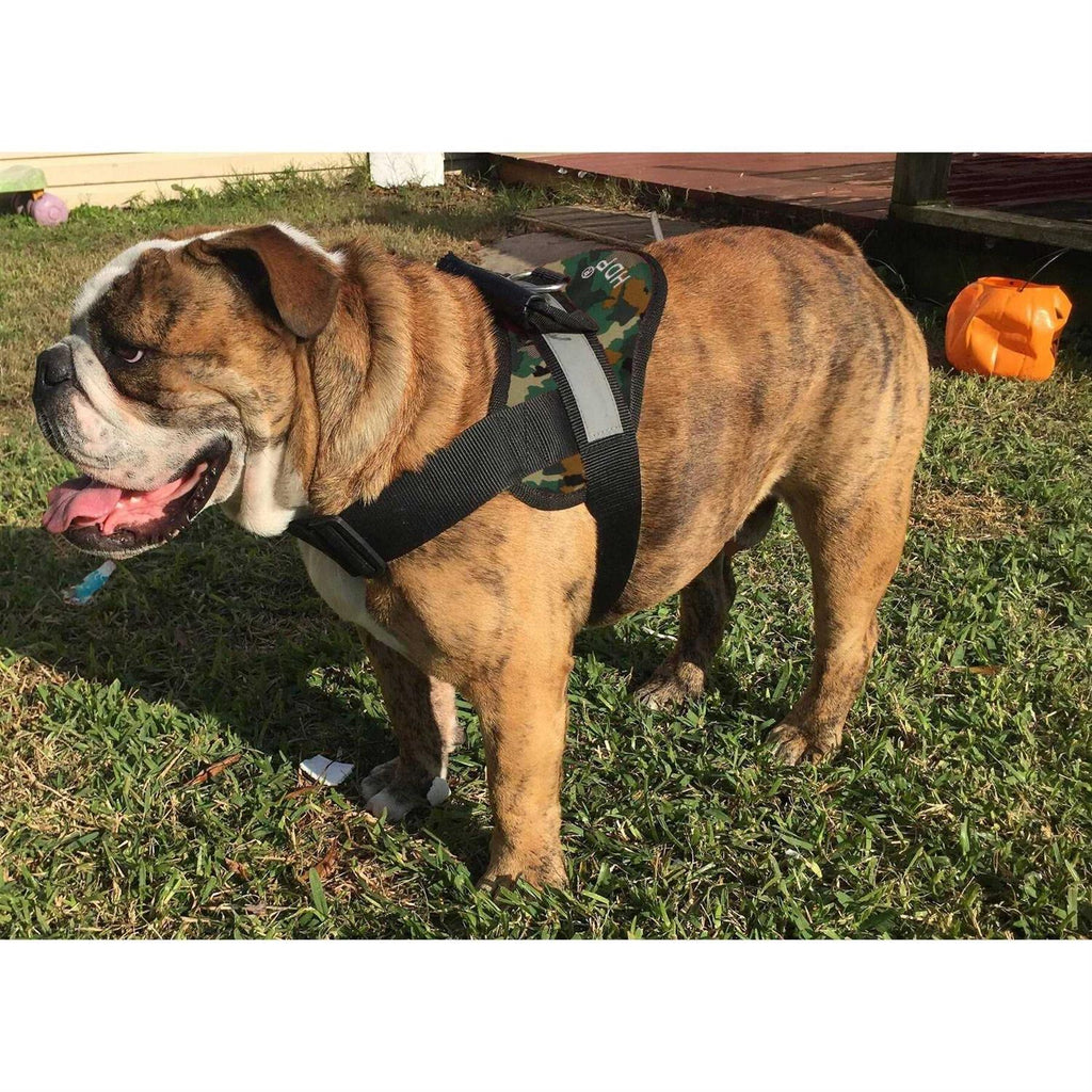 Big Dog Soft No Pull Harness E59685