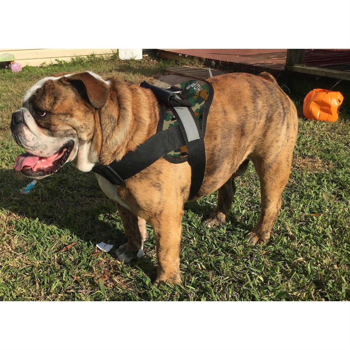 Big Dog Soft No Pull Harness E59685
