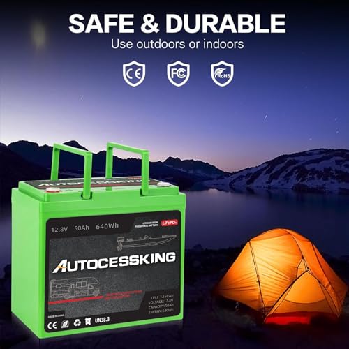 12V 100Ah LiFePO4 Lithium Battery with 100A BMS T388