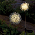 Set of 2 LED Solar Garden Stakes Q506631