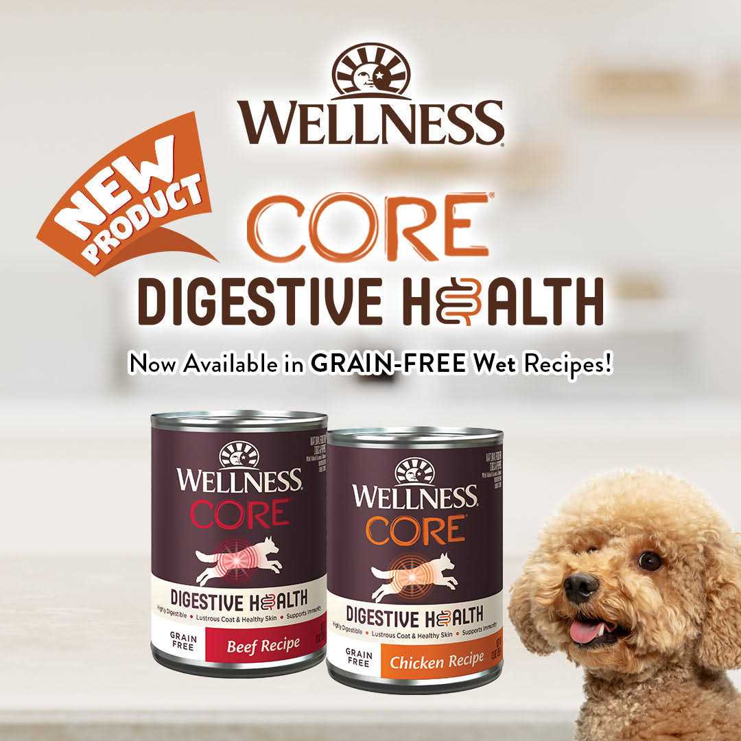 Grain Free Beef Wet Dog Food K364