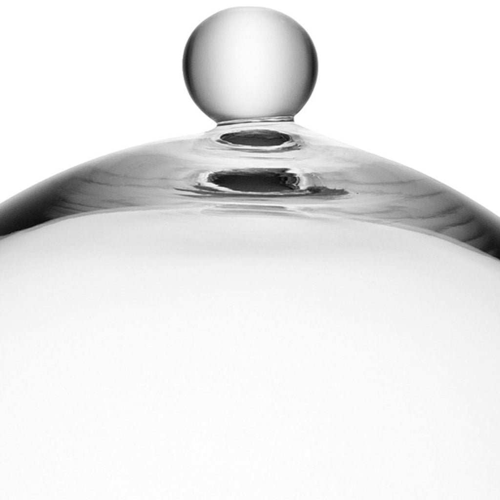 Clear Cake Stand and Cover P545101