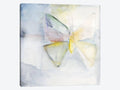 Canvas Art Picture - Butterfly II T7172
