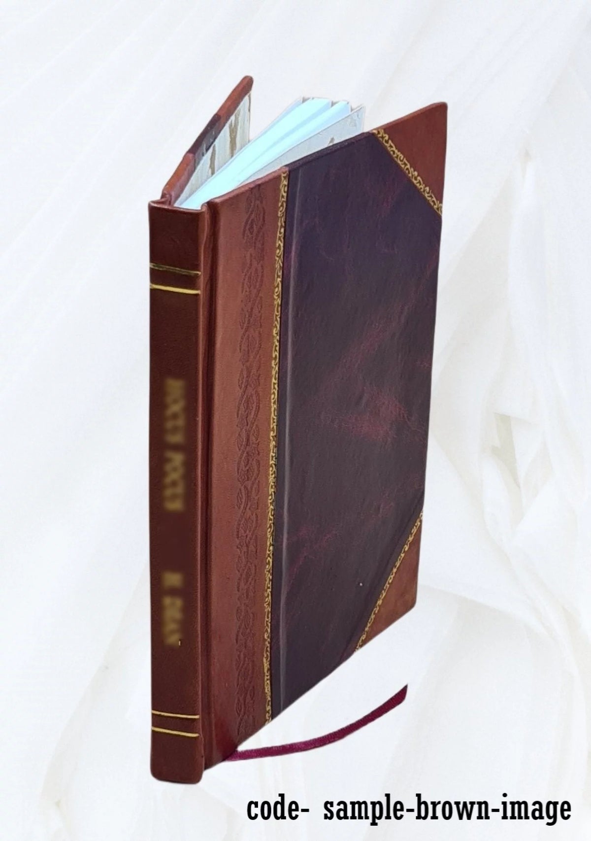 1908 Leather Bound U6132