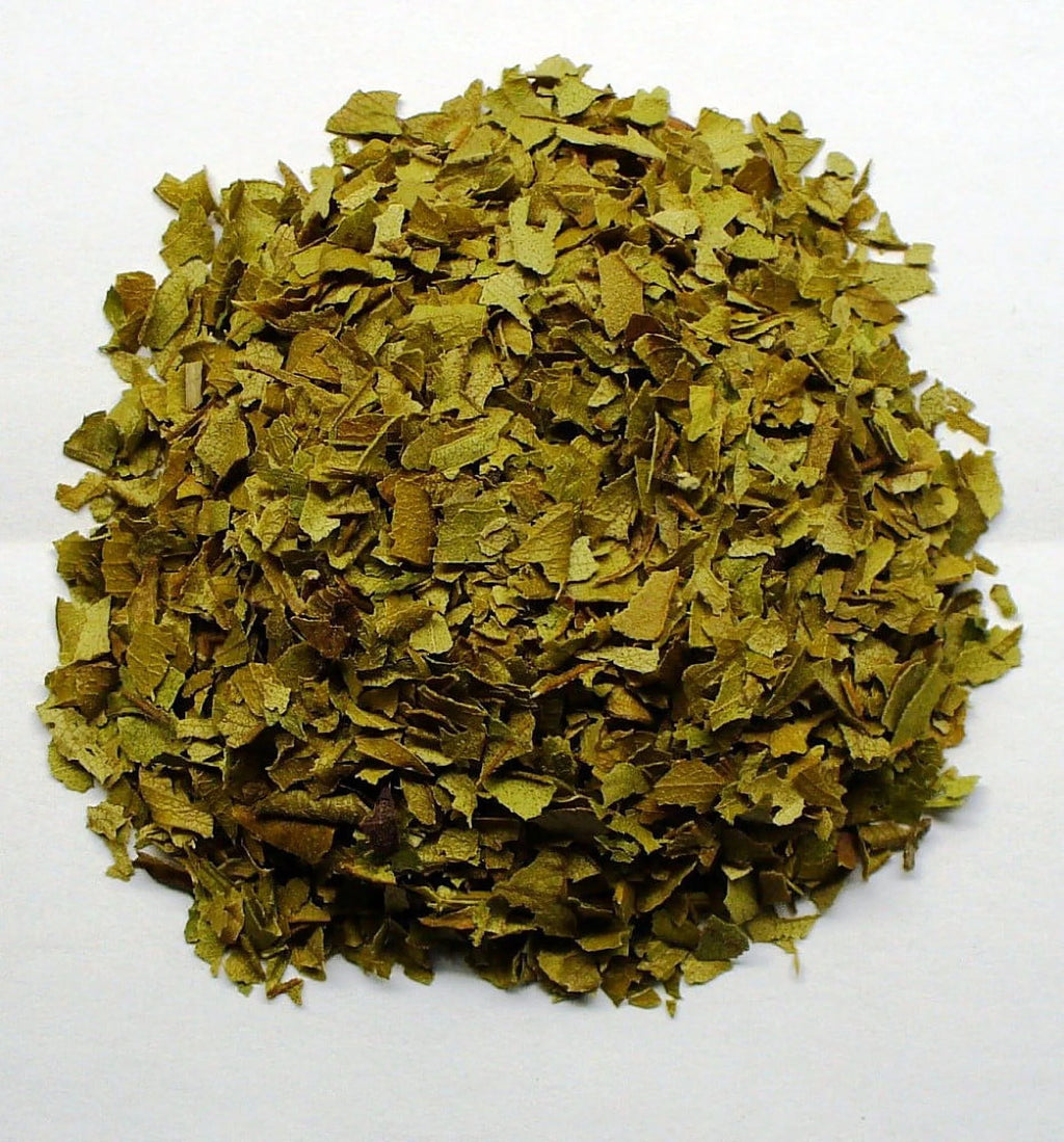 Myrtle Herb Plant 4.5" Pot I15386