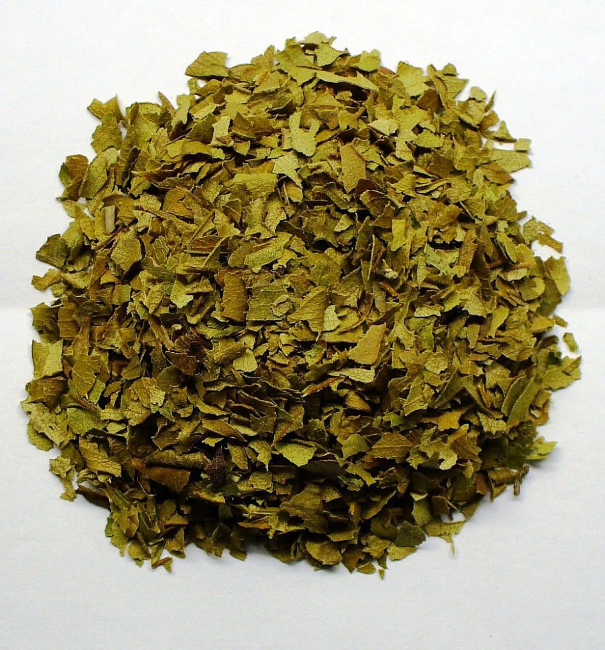 Myrtle Herb Plant 4.5" Pot I15386