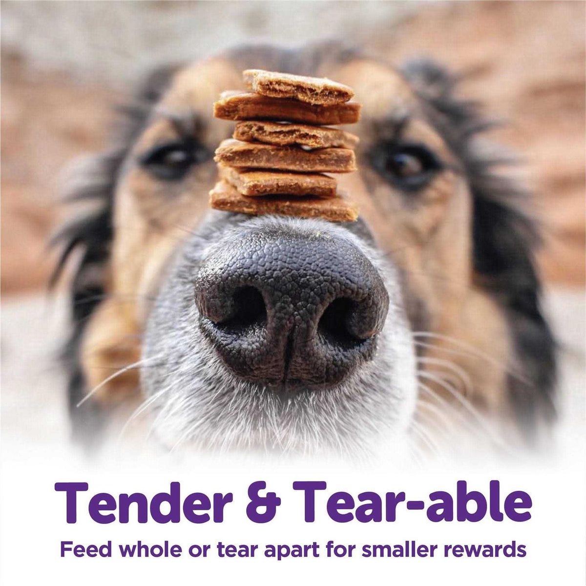 Soft Dog Treats D84732