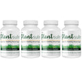 Blood Sugar Support Supplement 4 Bottles S2194