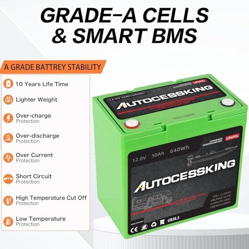 12V 100Ah LiFePO4 Lithium Battery with 100A BMS T388