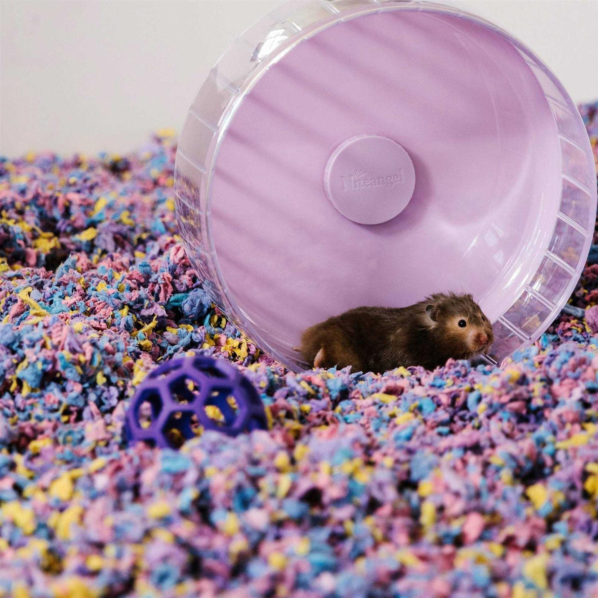 Confetti Pet Bedding U18956