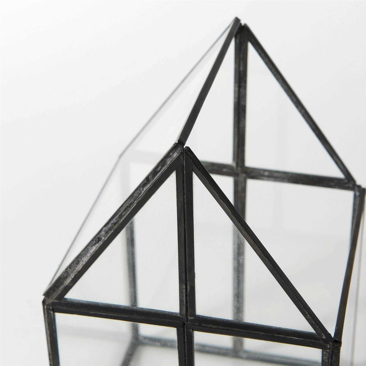 Glass Terrarium C318760