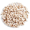 50 lbs Safflower for Wild Bird Feed K49520