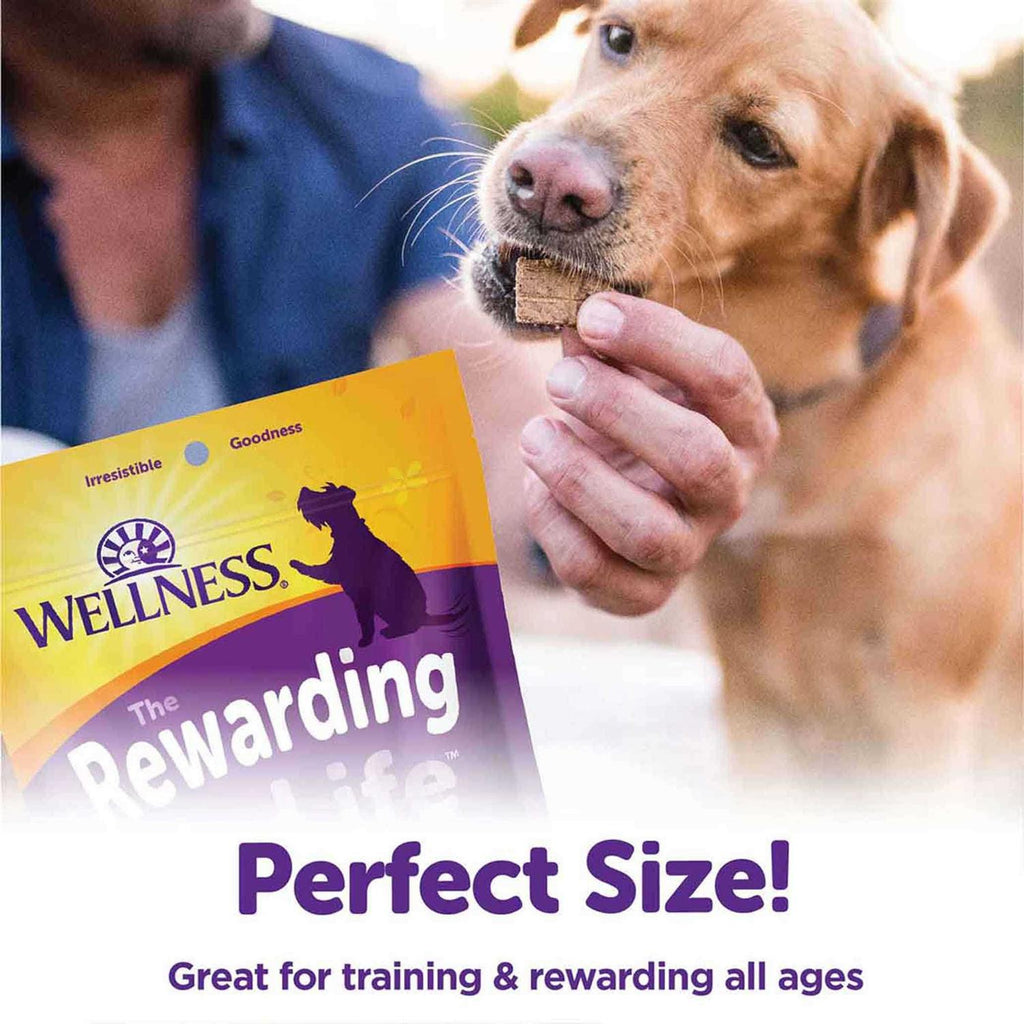 Soft Dog Treats D84732