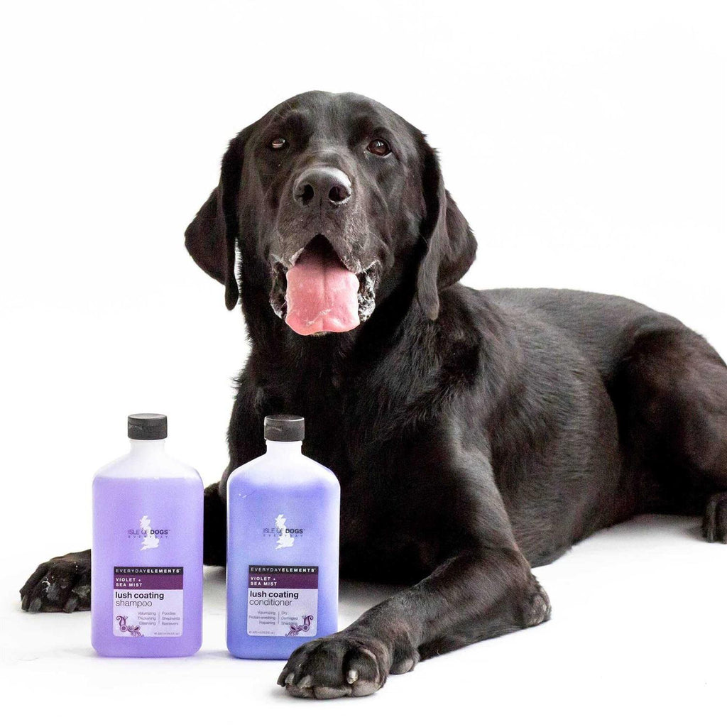 Violet & Sea Mist Dog Shampoo L932927