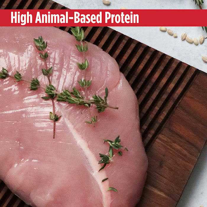 Grain Free Turkey & Peas Dog Food I2627