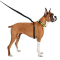 Retractable Dog Leash P43310