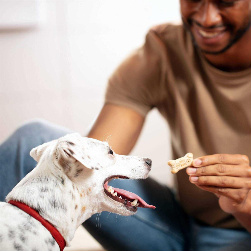 Mini Dog Biscuits T765207