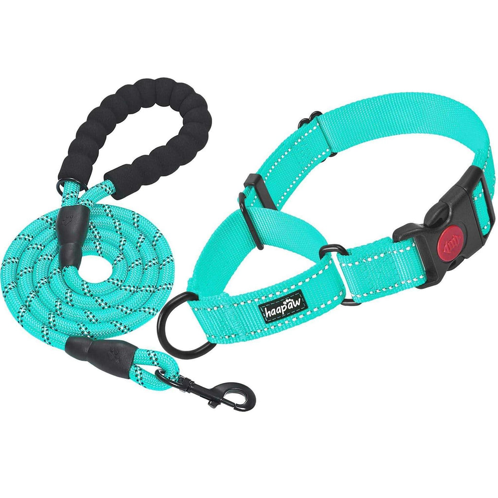 2 Packs Martingale Dog Collar with Quick Release Buckle Reflective Dog Training Collars I33519